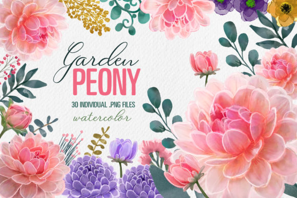 Peony Floral Watercolor PNGs for Commercial Illustrations