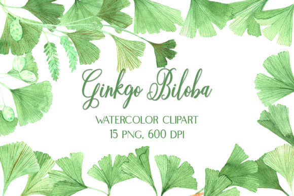 Watercolor Clipart Ginkgo Biloba: A Versatile Illustration for Modern Branding