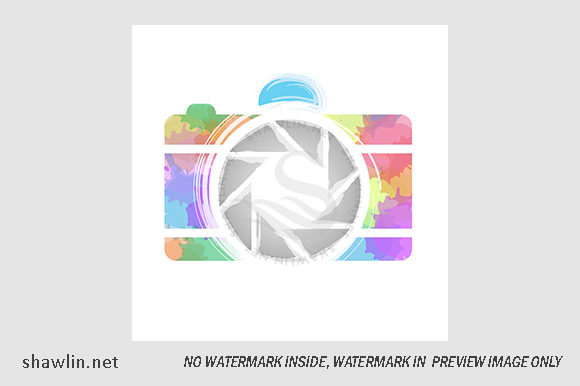 Watercolor Photography Camera: A Versatile Illustration for Modern Content Design