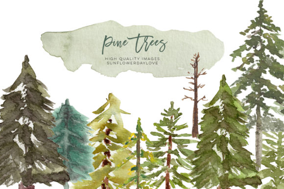 Watercolor Pine Tree Clipart, Evergreen for Digital Sellers